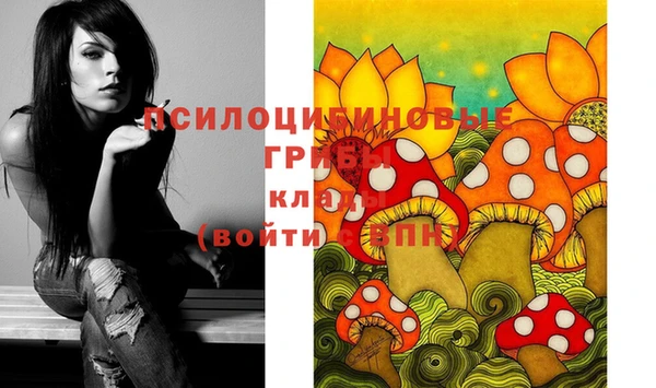 гидропоника Волоколамск